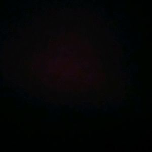 Meet your Posher, Carmen